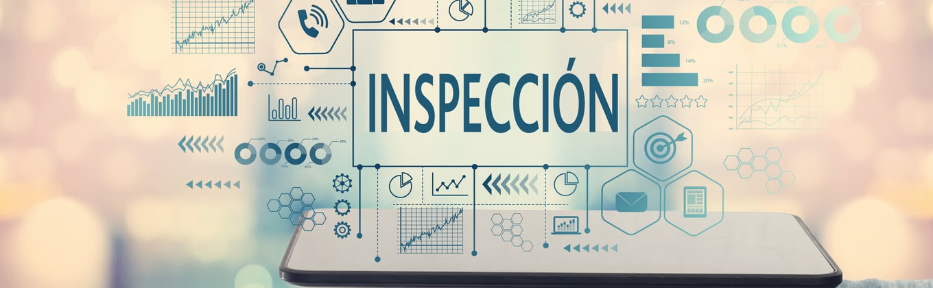 Cabecera_inspeccion